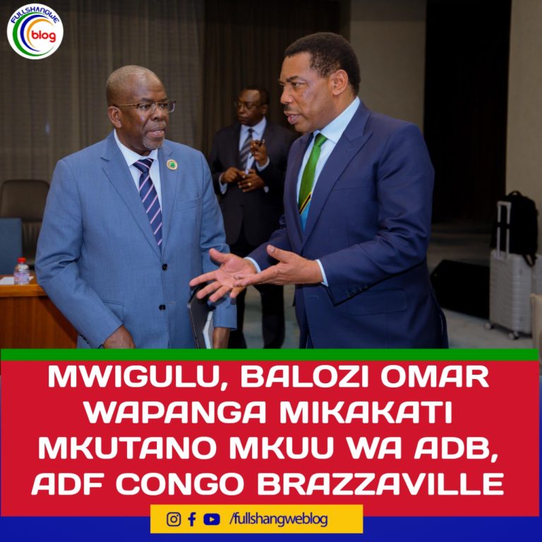 MWIGULU, BALOZI OMAR WAPANGA MIKAKATI MKUTANO MKUU WA ADB, ADF CONGO BRAZZAVILLE