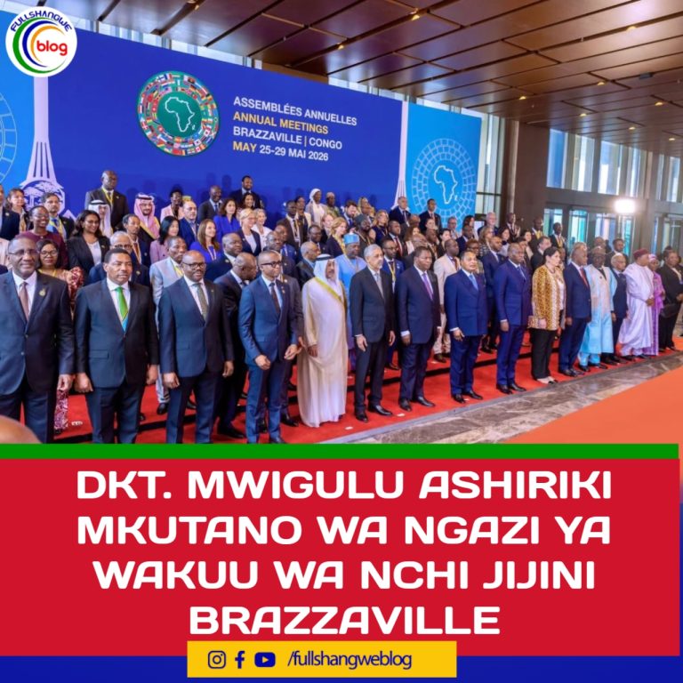 DKT. MWIGULU ASHIRIKI MKUTANO WA NGAZI YA WAKUU WA NCHI JIJINI BRAZZAVILLE