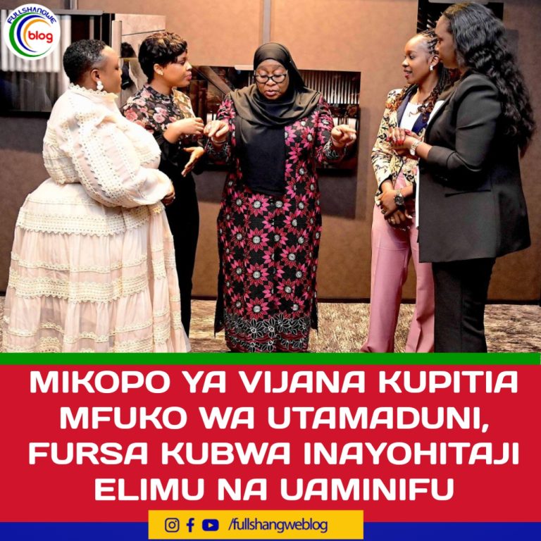 MIKOPO YA VIJANA KUPITIA MFUKO WA UTAMADUNI, FURSA KUBWA INAYOHITAJI ELIMU NA UAMINIFU