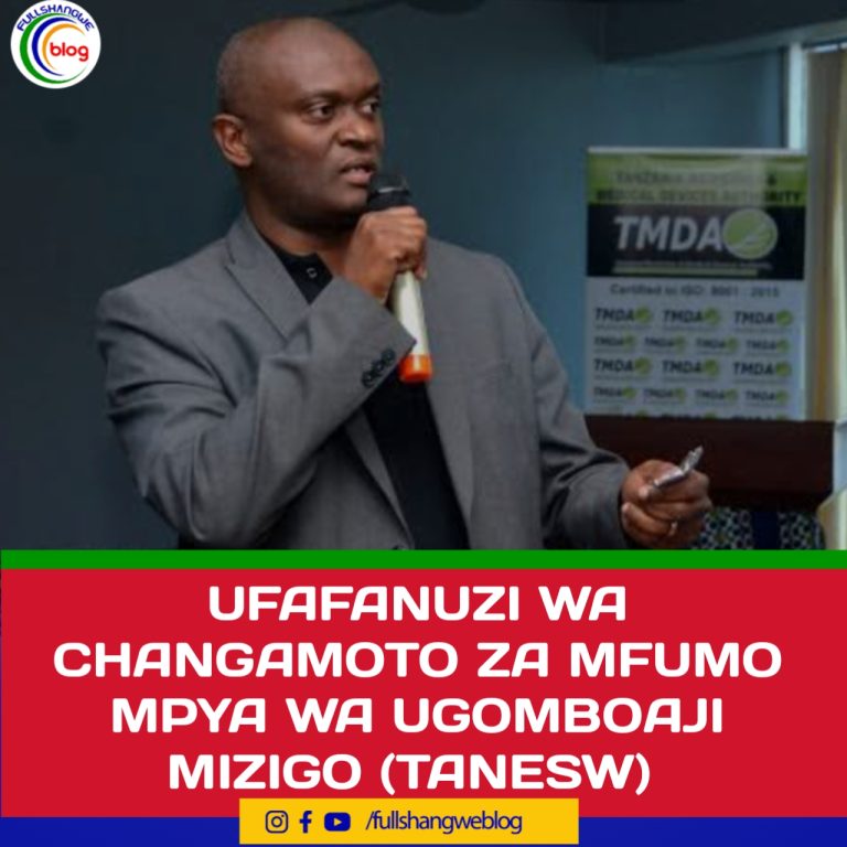 UFAFANUZI WA CHANGAMOTO ZA MFUMO MPYA WA UGOMBOAJI MIZIGO (TANESW)
