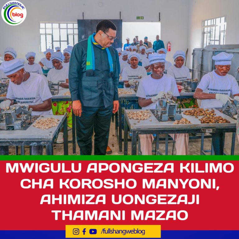 MWIGULU APONGEZA KILIMO CHA KOROSHO MANYONI, AHIMIZA UONGEZAJI THAMANI MAZAO