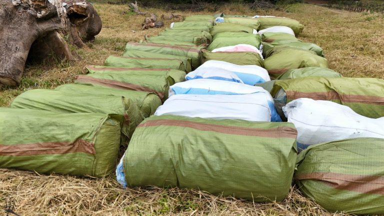 DCEA, TFS WATEKETEZA EKARI 68 ZA BANGI TABORA, WATU 7 WAKAMATWA