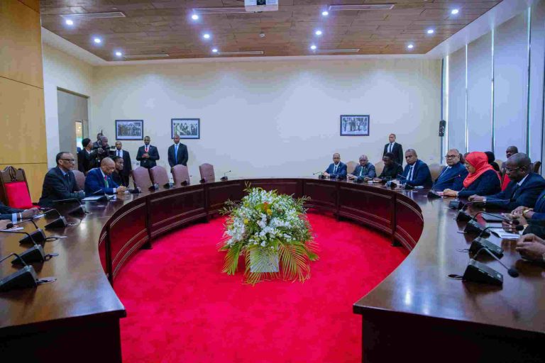 RAIS DKT. SAMIA AFANYA MAZUNGUMZO NA RAIS KAGAME IKULU DAR ES SALAAM
