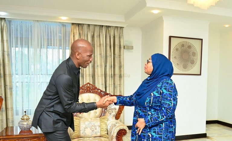 RAIS SAMIA AKUTANA NA MSHAMBULIAJI WA ZAMANI WA TIMU YA TAIFA YA IVORY COAST NA CHELSEA YA UINGEREZA