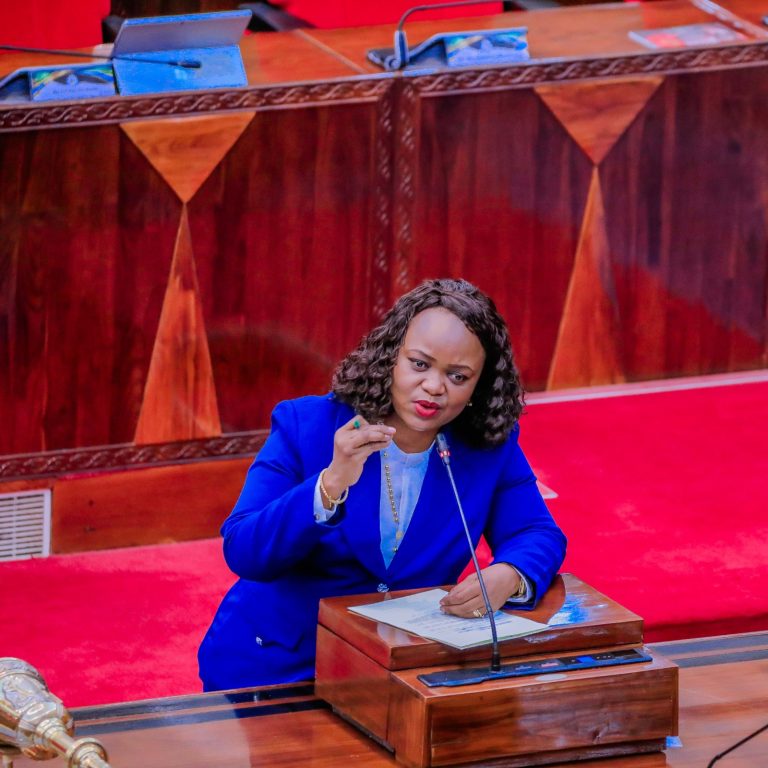 SERIKALI YAJIPANGA KUWAFIKIA WANAWAKE WENGI ZAIDI KIUCHUMI