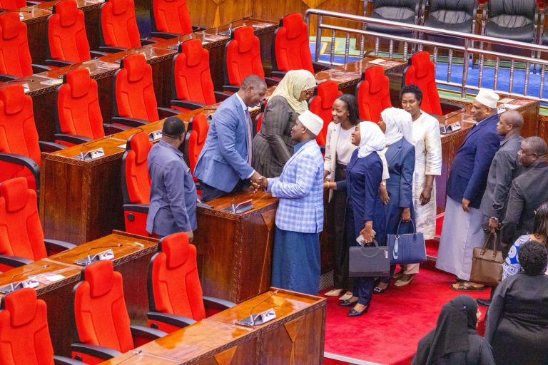 BUNGE LAPITISHA BAJETI YA ELIMU YA SH TRILIONI 2.39 YENYE VIPAUMBELE VITANO
