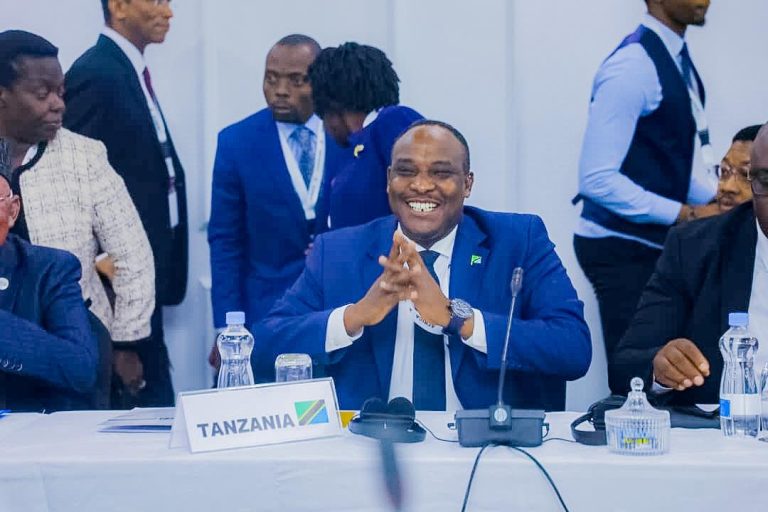 TANZANIA YAHIMIZA MAGEUZI YA BARAZA LA USALAMA LA UMOJA WA MATAIFA