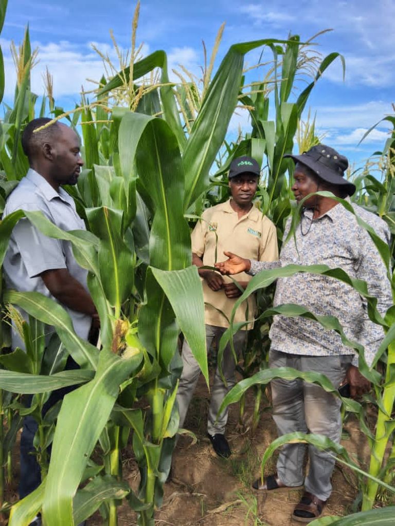 TOSCI YAHAMASISHA UWEKEZAJI WA MBEGU BORA KANDA YA ZIWA