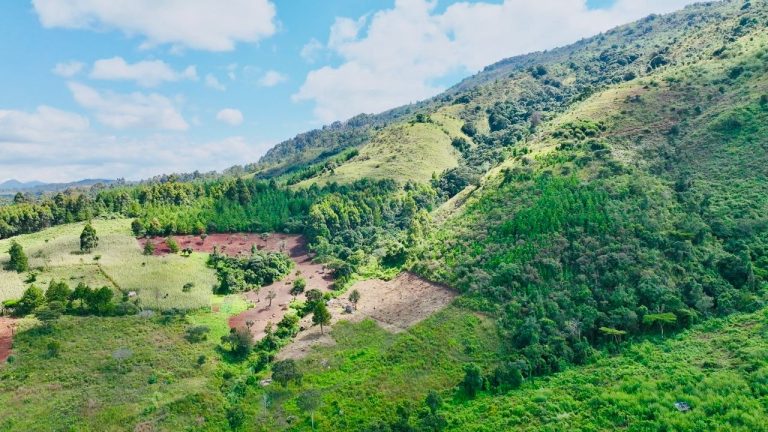 NJOMBE YAIBUKA KITOVU CHA MADINI ADIMU, SOKO LAKE KUU LIPO CHINA