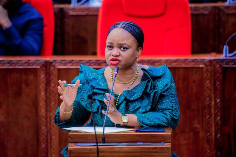 SERIKALI YAELEZA MIKAKATI YA KULINDA WATOTO WA MAZINGIRA HATARISHI NA KUWAWEZESHA WANAWAKE WAJASIRIAMALI KUELEKEA DIRA 2050