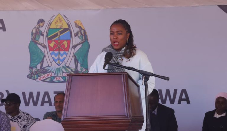 UPATIKANAJI UMEME KUENDELEA KUIMARIKA MKOANI IRINGA— MHE. SALOME