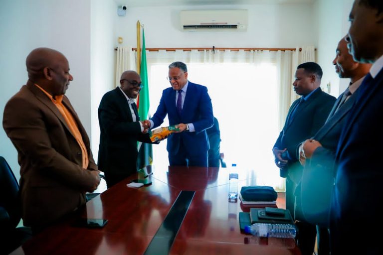 DKT. YONAZI AUPONGEZA UBALOZI WA TANZANIA NCHINI MSUMBIJI KUIMARISHA DIPLOMASIA