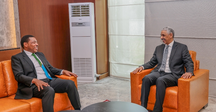 WAZIRI MKUU ATETA NA RAIS WA BENKI YA AfDB