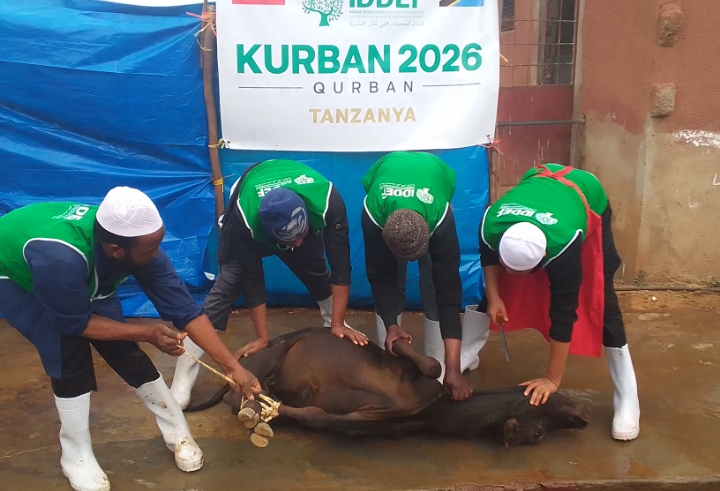AHSANTE FOUNDATION WACHINJA NG’OMBE KONDOO NA MBUZI EID AL- ADHA MIRERANI 