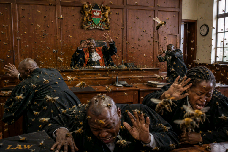 KATARINA NYERI: TUKIO LA NYUKI LAIBUA MASWALI NÀ WITO WA UTULIVU