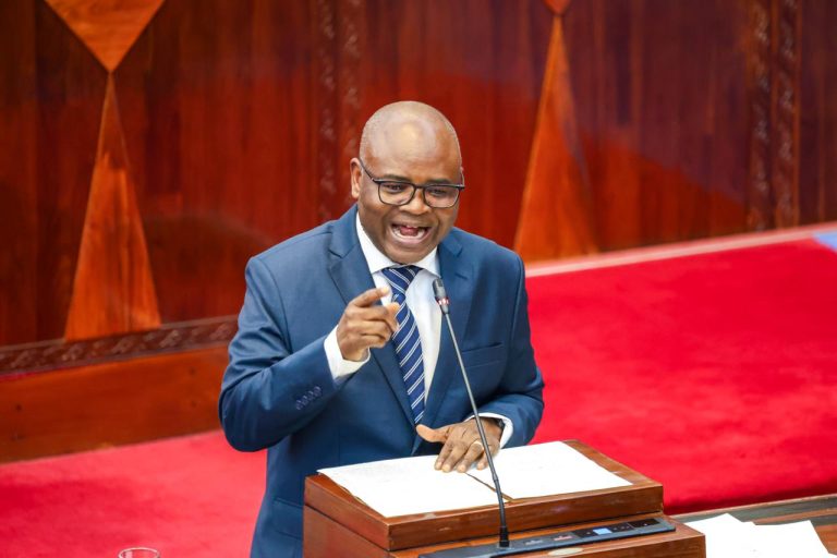 WAZIRI PROF. MKUMBO ATAJA MAENEO MATANO YA KIPAUMBELE MPANGO WA MAENDELEO WA TAIFA WA MWAKA 2026/27