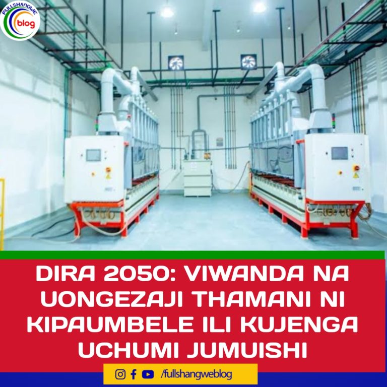 DIRA 2050: VIWANDA NA UONGEZAJI THAMANI NI KIPAUMBELE ILI KUJENGA UCHUMI JUMUISHI