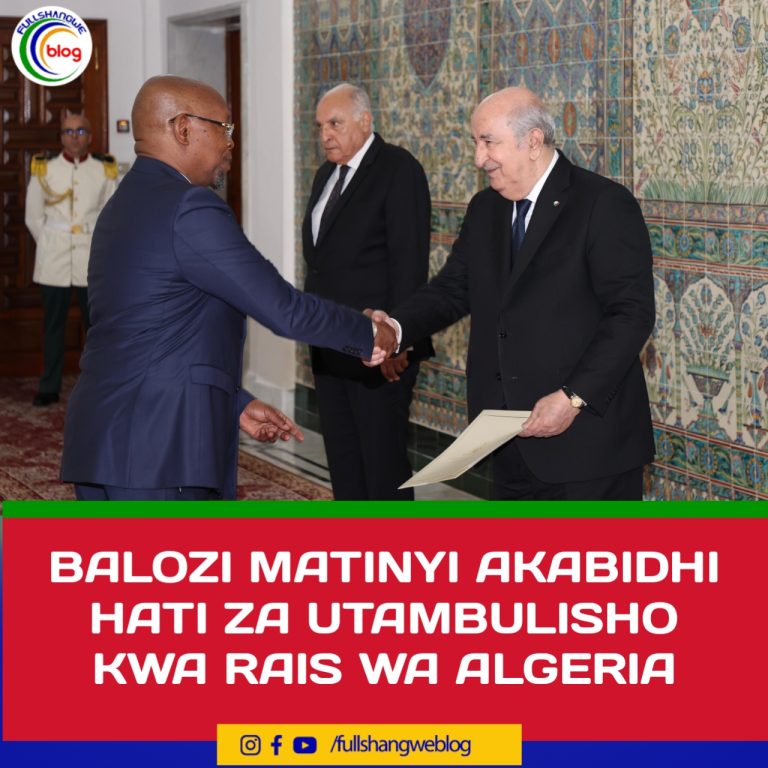 BALOZI MATINYI AKABIDHI HATI ZA UTAMBULISHO KWA RAIS WA ALGERIA 