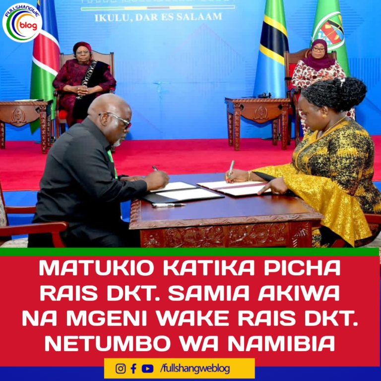 MATUKIO KATIKA PICHA RAIS DKT. SAMIA AKIWA NA MGENI WAKE RAIS DKT. NETUMBO WA NAMIBIA
