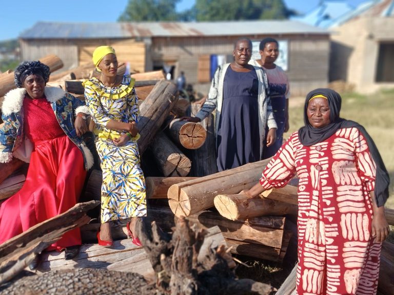 DIWANI SARA PONELA AKABIDHI MRADI WA MAGOGO KWA WANAWAKE WA UWT ISAKALILO