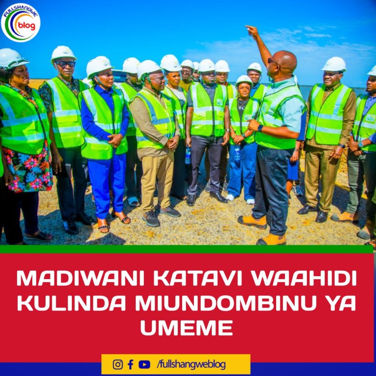 MADIWANI KATAVI WAAHIDI KULINDA MIUNDOMBINU YA UMEME