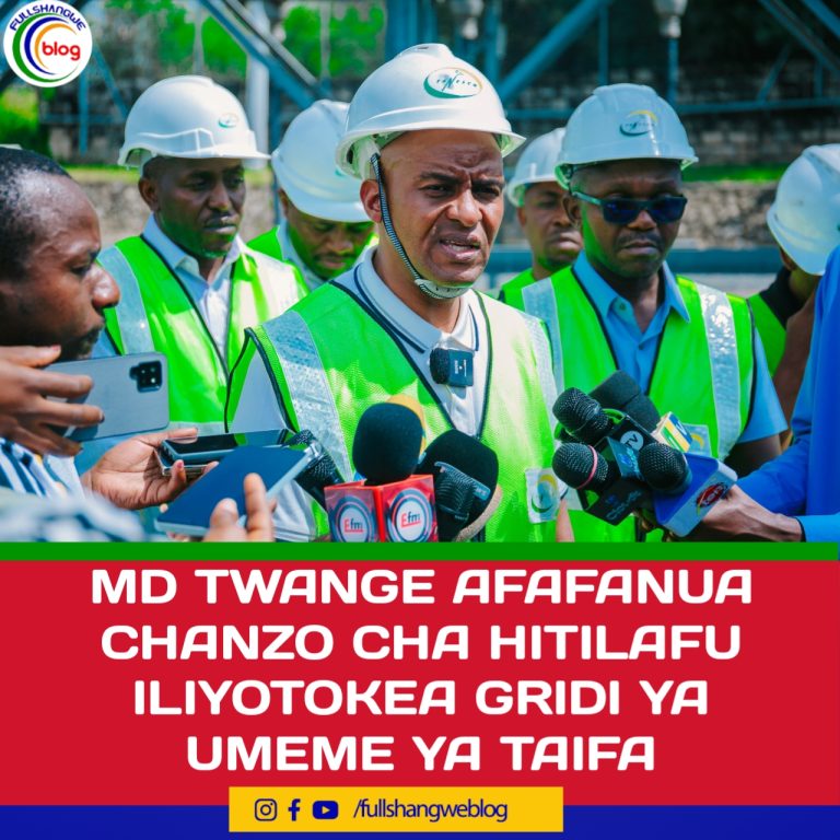 MD TWANGE AFAFANUA CHANZO CHA HITILAFU ILIYOTOKEA KWENYE GRIDI YA UMEME YA TAIFA