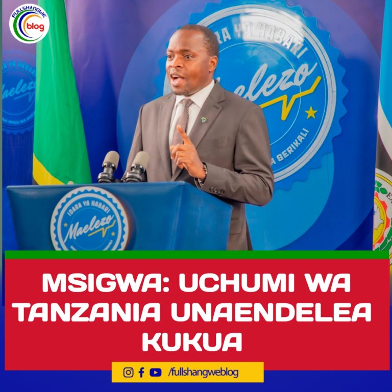 MSIGWA: UCHUMI WA TANZANIA UNAENDELEA KUKUA