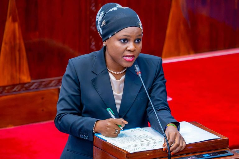 SERIKALI INAENDELEA NA UTEKELEZAJI WA MAPENDEKEZO YA TUME YA HAKI JINAI