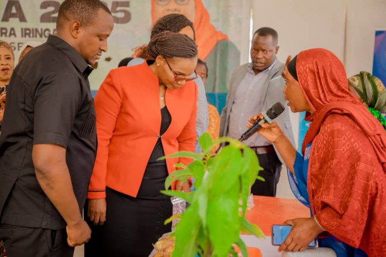 WAJASIRIAMALI IRINGA WATAKIWA KUONGEZA UBUNIFU NA UTAMBULISHO WA BIDHAA ZAO