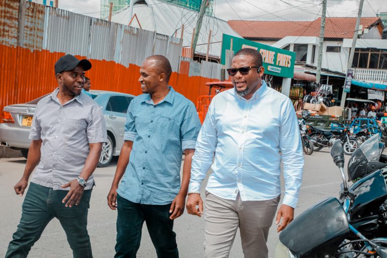 SERIKALI KUCHUKUA HATUA THABITI KUKABILI UVAMIZI WA TEMBO MEATU: UZIO WA UMEME KUJENGWA MWANYAHINA.
