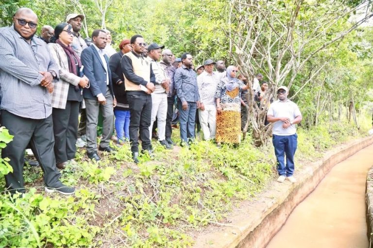 KUTOKA HEWA CHAFU HADI FEDHA: NAMNA BIASHARA YA KABONI INAVYOTAJIRISHA WATANZANIA