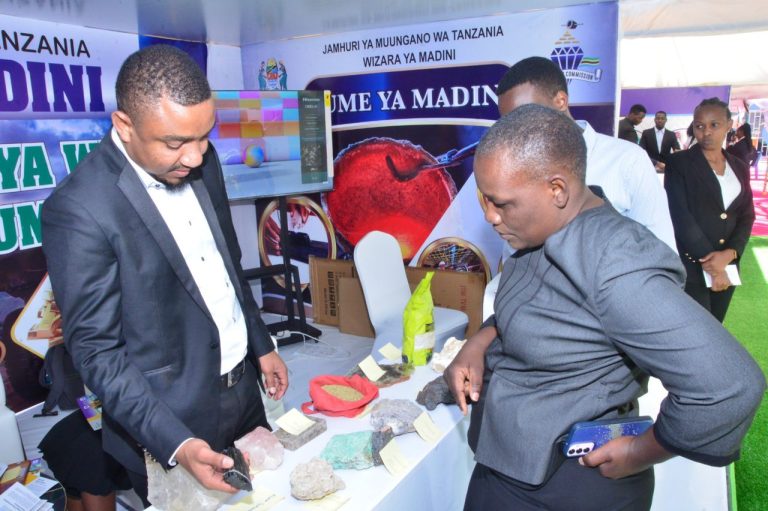 WADAU WA MADINI WAKUMBUSHWA KUZINGATIA SHERIA KUONGEZA MANUFAA KWA TAIFA