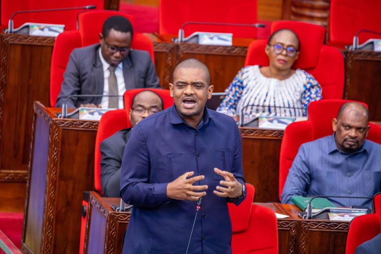 LINDI, MTWARA, KAGERA NA RUKWA KUPATA UMEME WA GRIDI NDANI YA MWAKA WA FEDHA 2026/2027