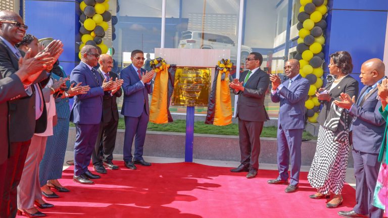 DKT. MWIGULU: BIDHAA BANDIA ZINAHATARISHA MAISHA YA WANANCHI