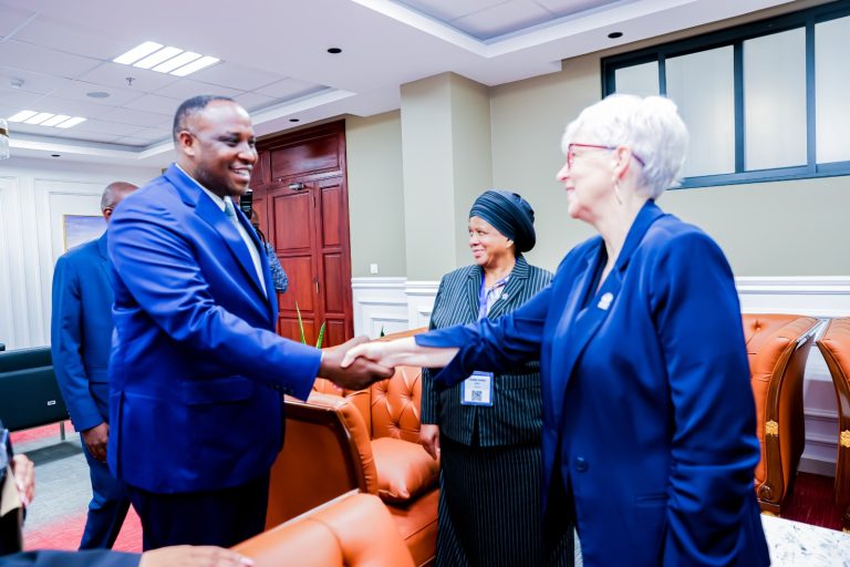 DIPLOMASIA, AMANI NA UTULIVU VYAVUTIA MIKUTANO YA KIMATAIFA MCHINI, MHE. MILLYA 
