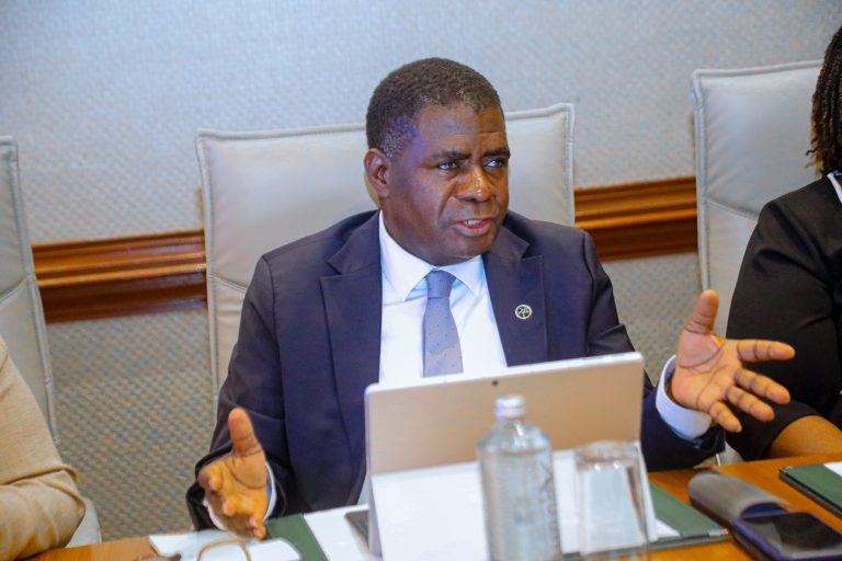 NAIBU WAZIRI WA FEDHA AKUTANA NA UONGOZI WA SHELTER AFRIQUE DEVELOPMENT BANK KUIMARISHA USHIRIKIANO
