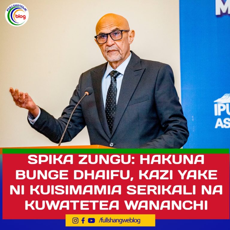 SPIKA ZUNGU: HAKUNA BUNGE DHAIFU, KAZI YAKE NI KUISIMAMIA SERIKALI NA KUWATETEA WANANCHI