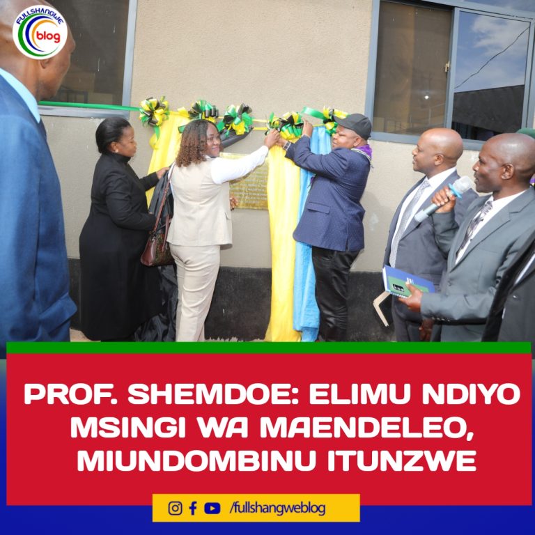 PROF. SHEMDOE: ELIMU NDIYO MSINGI WA MAENDELEO, MIUNDOMBINU ITUNZWE