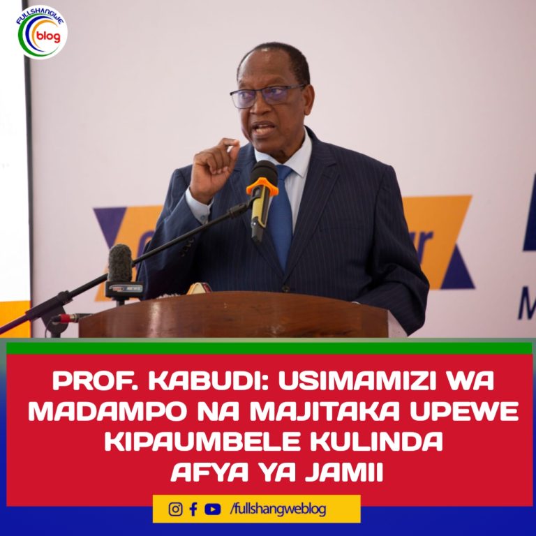 PROF. KABUDI: USIMAMIZI WA MADAMPO NA MAJITAKA UPEWE KIPAUMBELE KULINDA AFYA YA JAMII