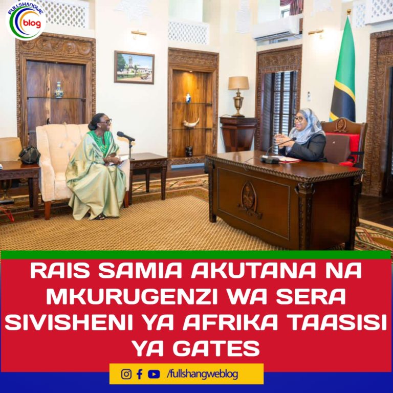 RAIS SAMIA AKUTANA NA MKURUGENZI WA SERA SIVISHENI YA AFRIKA TAASISI YA GATES