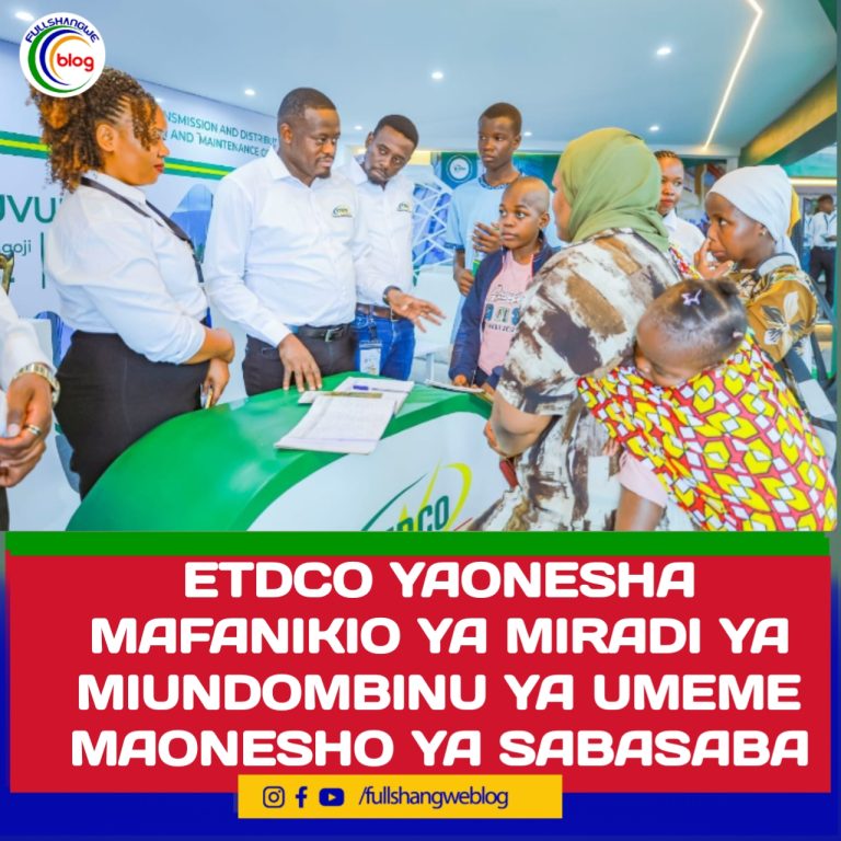 ETDCO YAONESHA MAFANIKIO YA MIRADI YA MIUNDOMBINU YA UMEME MAONESHO YA SABASABA