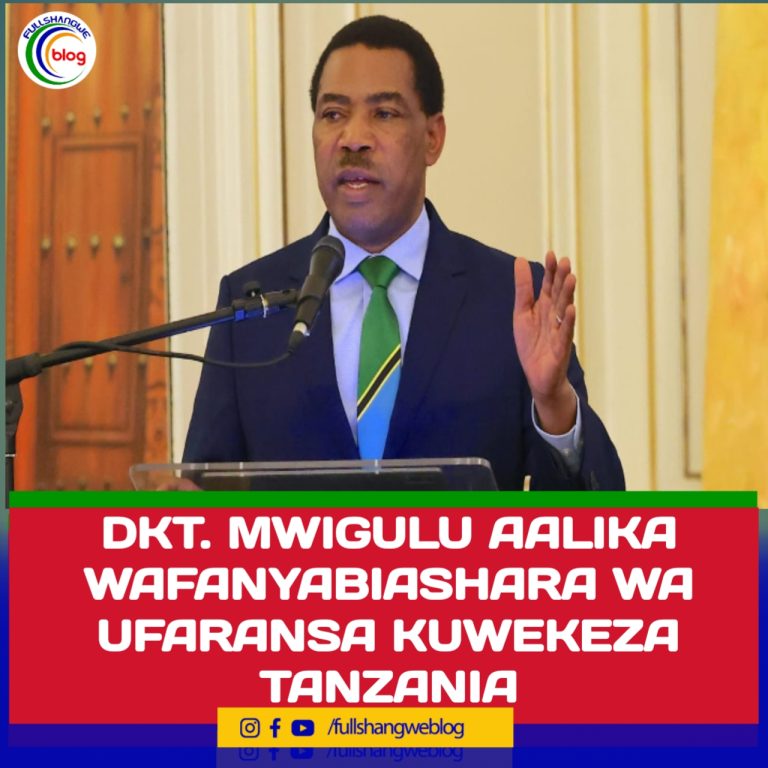 DKT. MWIGULU AALIKA WAFANYABIASHARA WA UFARANSA KUWEKEZA TANZANIA