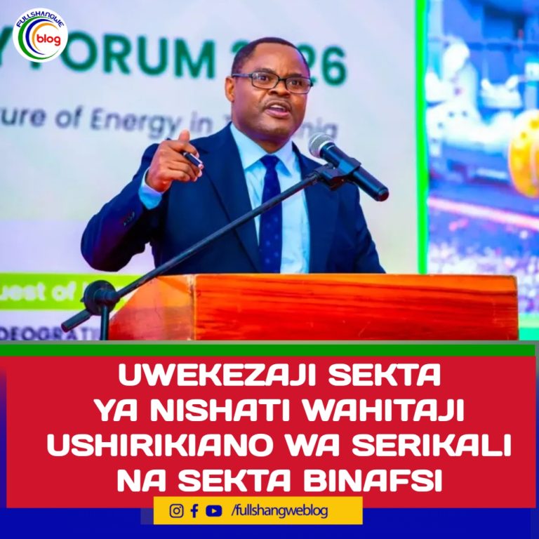 UWEKEZAJI SEKTA YA NISHATI WAHITAJI USHIRIKIANO WA SERIKALI NA SEKTA BINAFSI