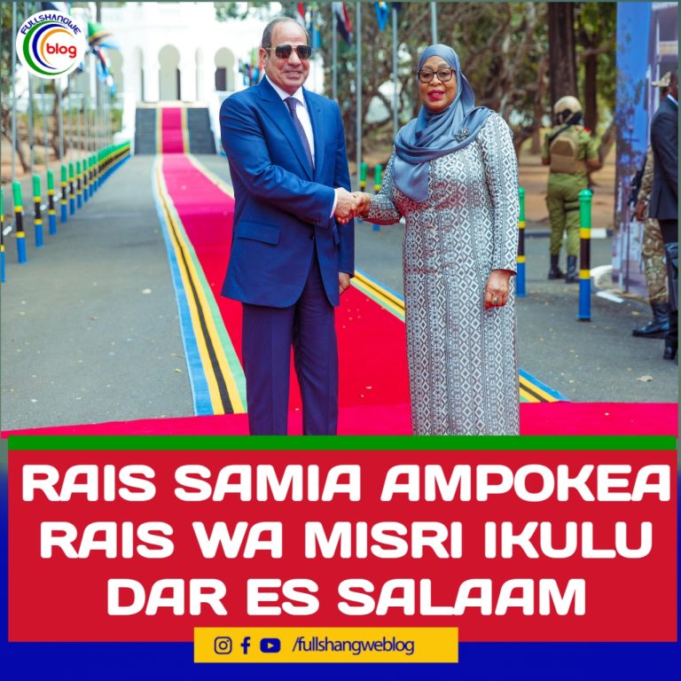 RAIS SAMIA AMPOKEA RAIS WA MISRI IKULU DAR ES SALAAM