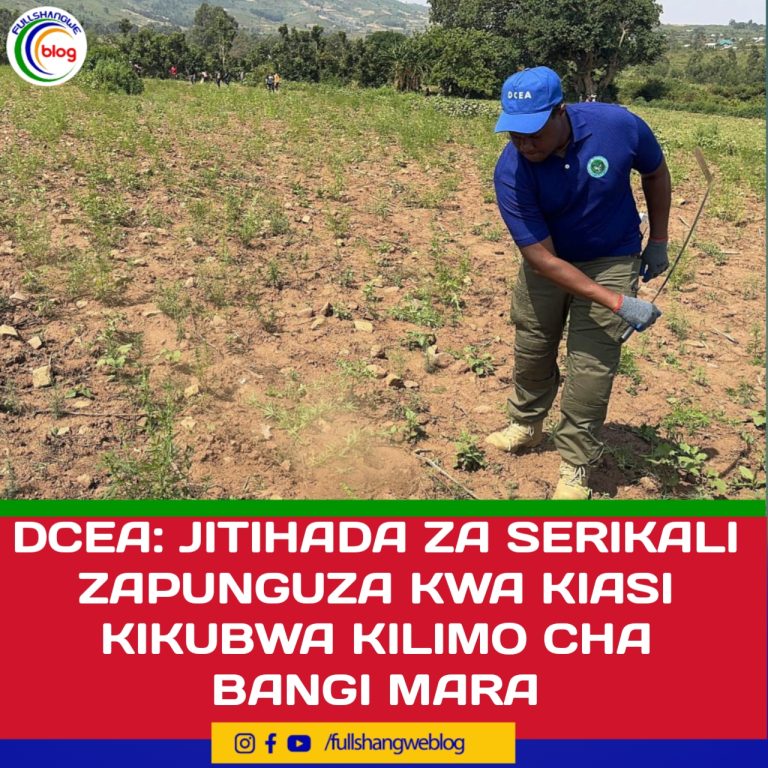 DCEA: JITIHADA ZA SERIKALI ZAPUNGUZA KWA KIASI KIKUBWA KILIMO CHA BANGI MARA
