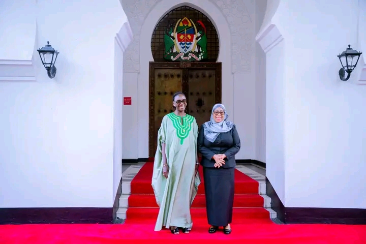 NDIVYO RAIS SAMIA ANAVYOSAKA FURSA KIMATAIFA UBORESHAJI AFYA MAMA NA MTOTO AFRIKA