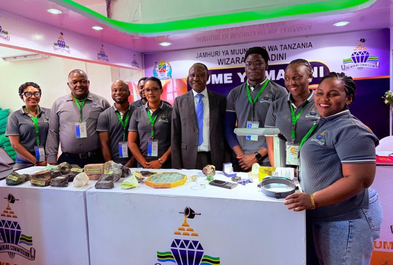 MBIBO: BORESHENI UTOAJI LESENI ZA MADINI KUPUNGUZA MIGOGORO