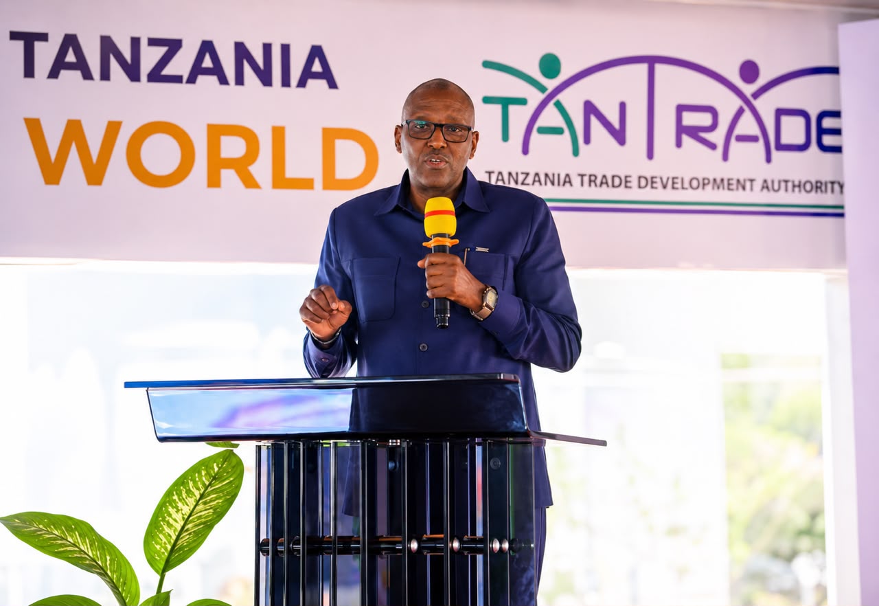 DKT. KIRUSWA: MAGEUZI SEKTA YA MADINI YAIFANYA TANZANIA KUWA KITOVU CHA UWEKEZAJI AFRIKA