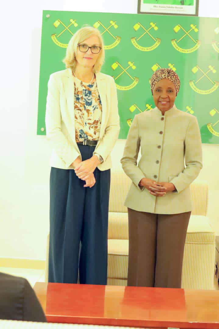 KATIBU MKUU CCM AFANYA MAZUNGUMZO NA BALOZI WA NORWAY NCHINI TANZANIA