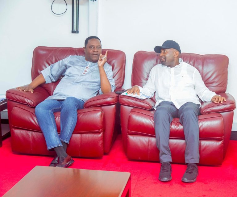 MASAUNI: UWEKEZAJI UZINGATIE SHERIA ZA MAZINGIRA
